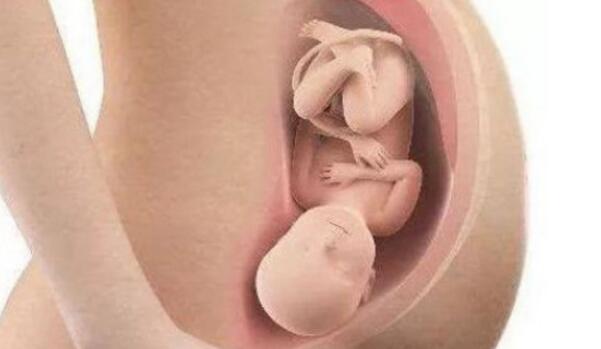 胎儿入盆时，为何会头朝下？这3个解释很合理！