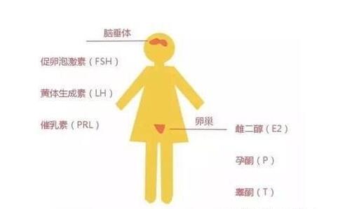 ���м����׼ʱ�䣬��Ҫ����һ�ˣ�