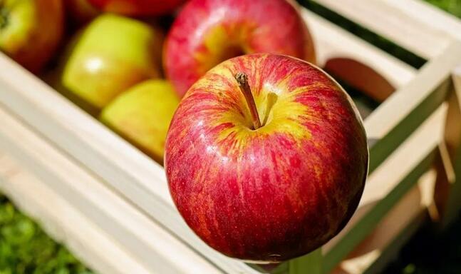 ��������������£�������Щʳ����Ի���