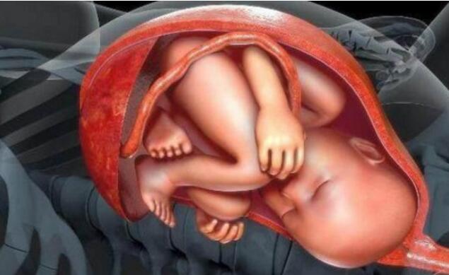 ˳�����Ĵ�����������Щ��׼�����ǿ����Լ����ϲ���