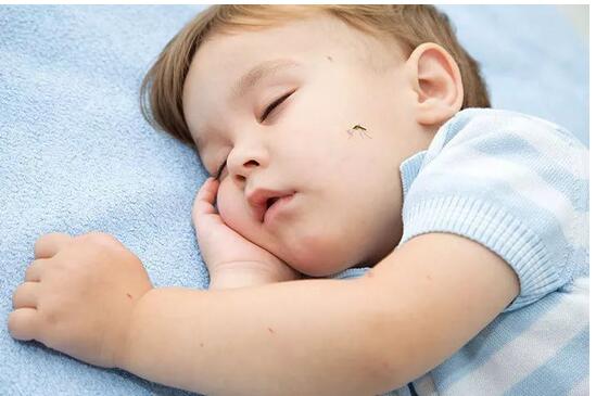 宝宝被蚊子咬了怎么办?试试这五个办法,跟蚊虫说拜拜!