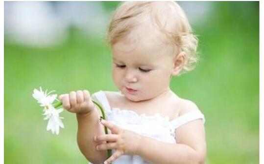 宝宝被蚊子咬了怎么办?试试这五个办法,跟蚊虫说拜拜!