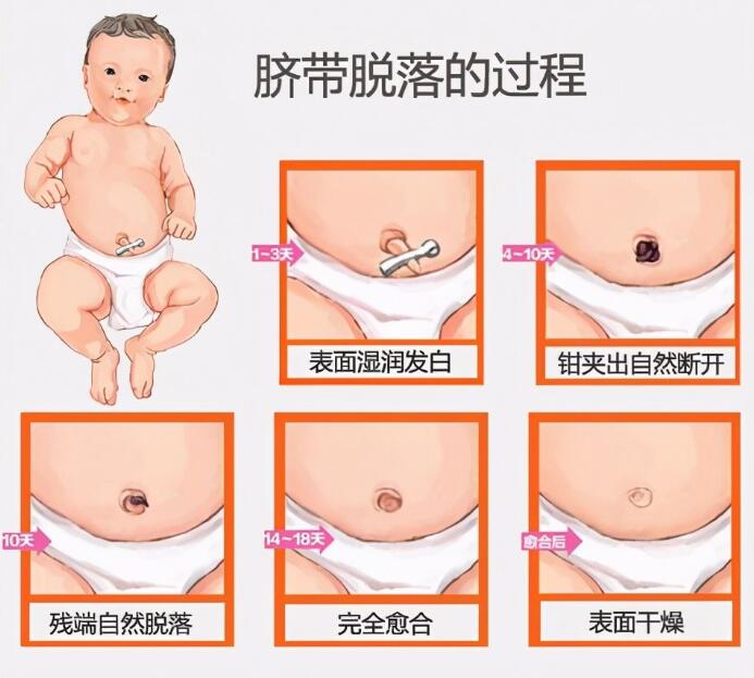 ���ָ�ĸ���׷��������������ǧ���ȿӣ�Ӱ�챦��������