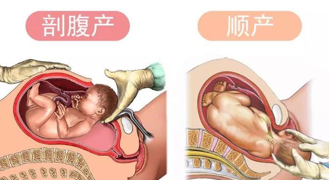 ����֮ѡ����ѧ����������ʽ���ǻ۾���