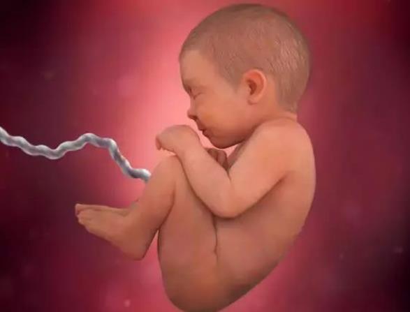 ̥���������������ӹ���������ó�