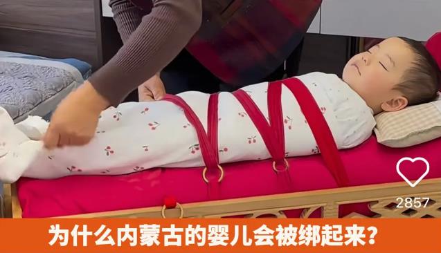 ��ԭ�ϵ�ҡ�������ɹ�������ġ������ǻ�